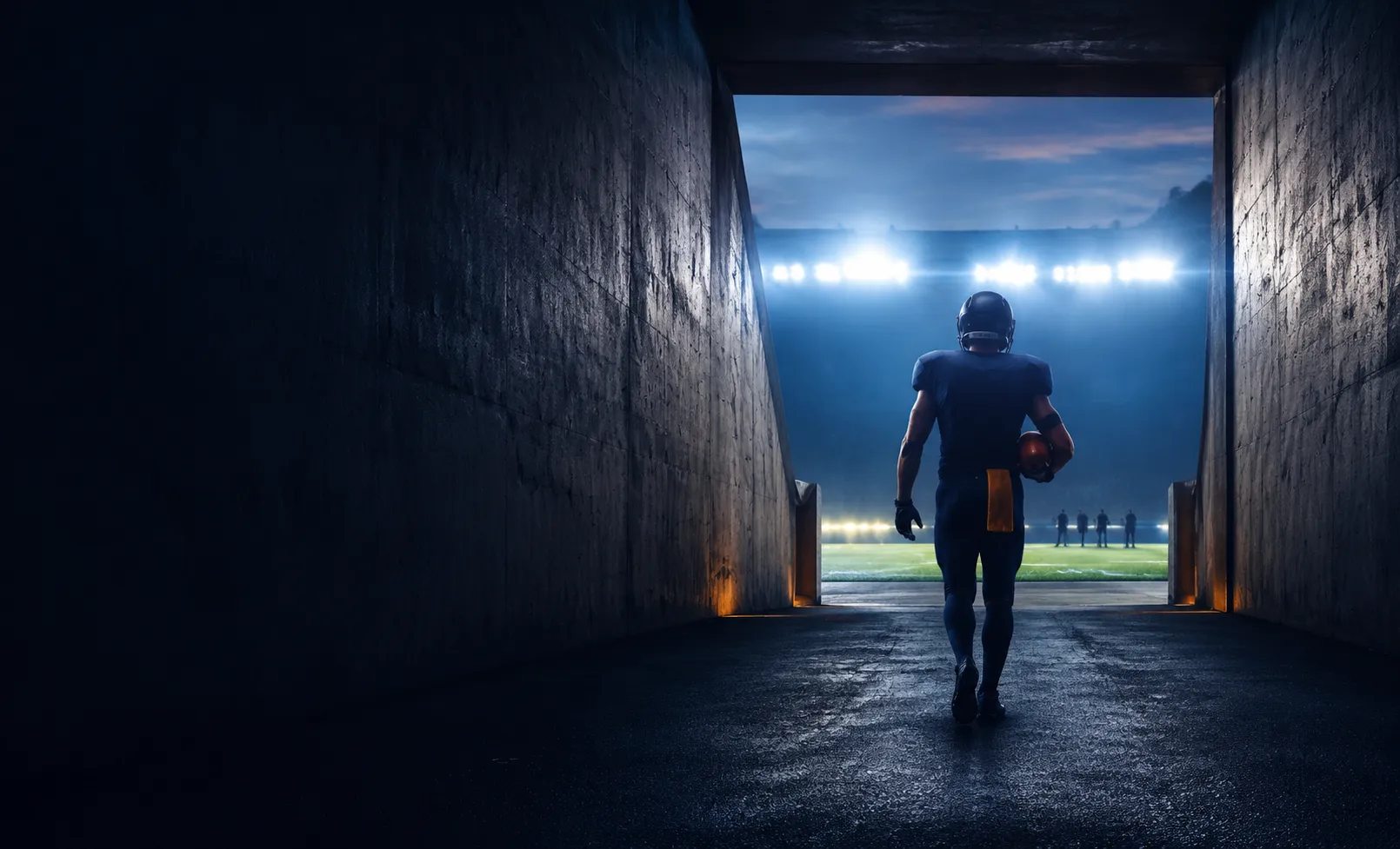 NFL Playoff Qualifier Predictions